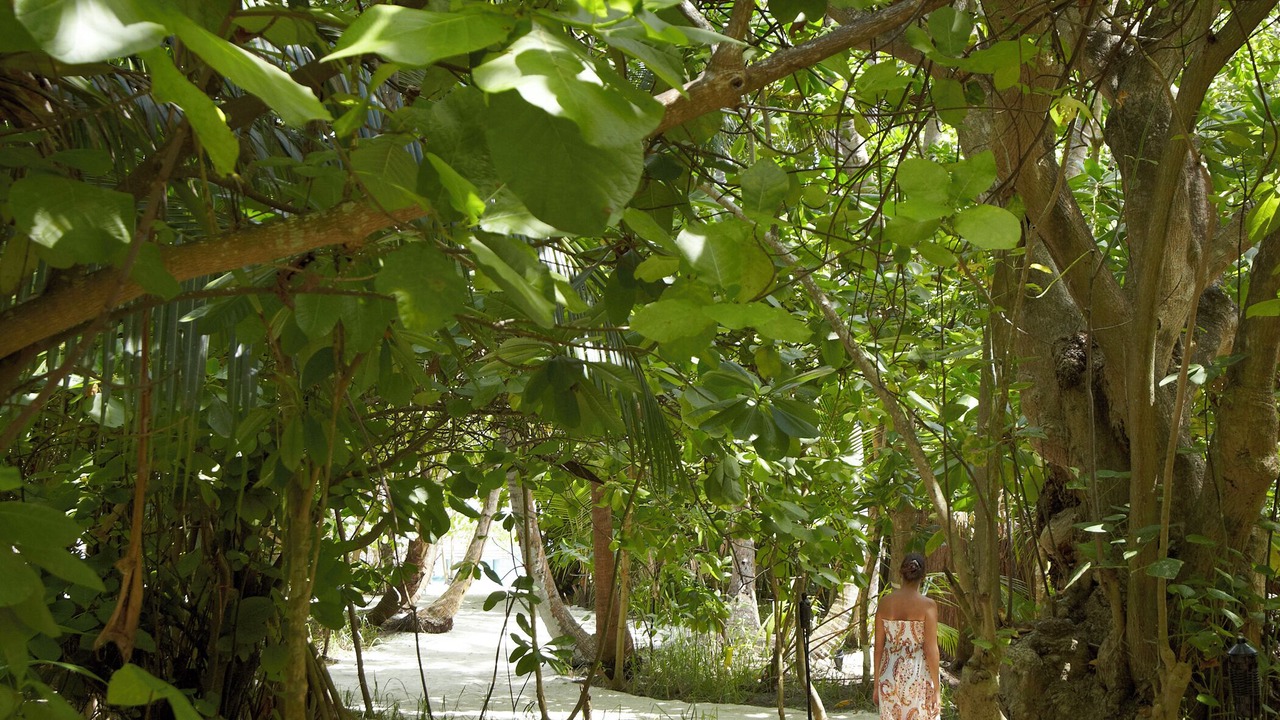 Photo of Patio Balcony in Mudhdhoo