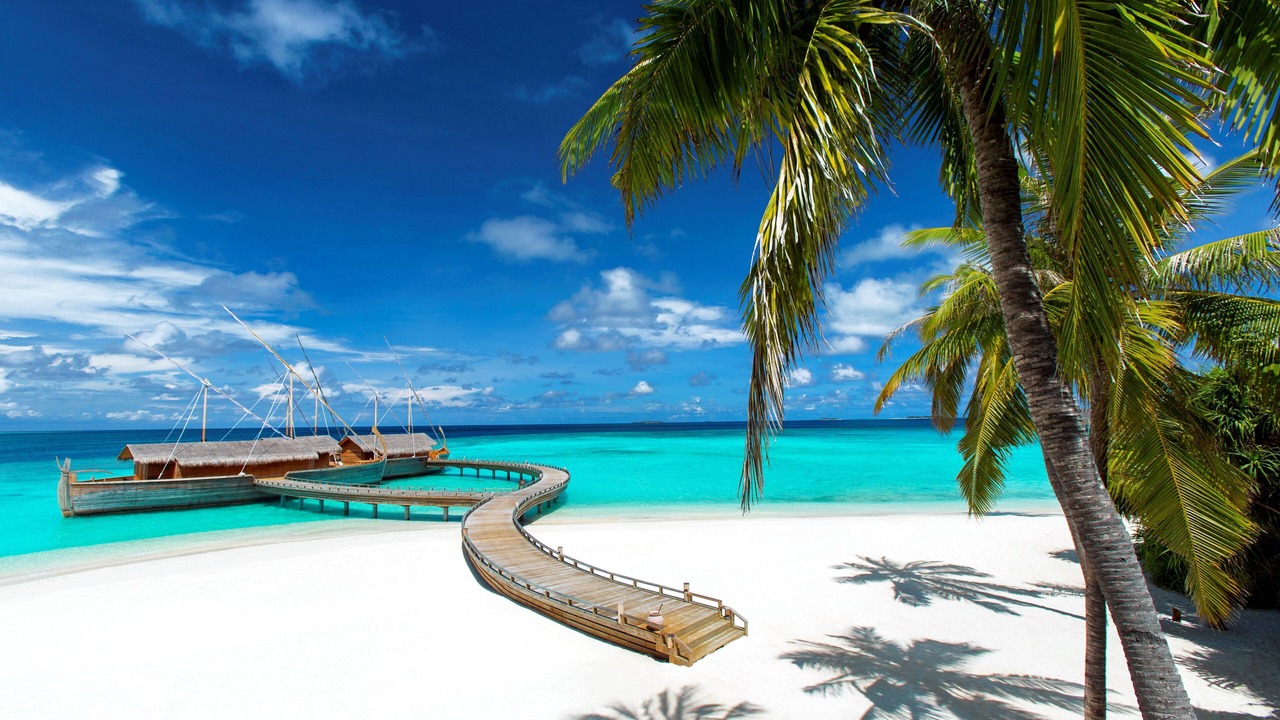 Photo of Others in Milaidhoo Island