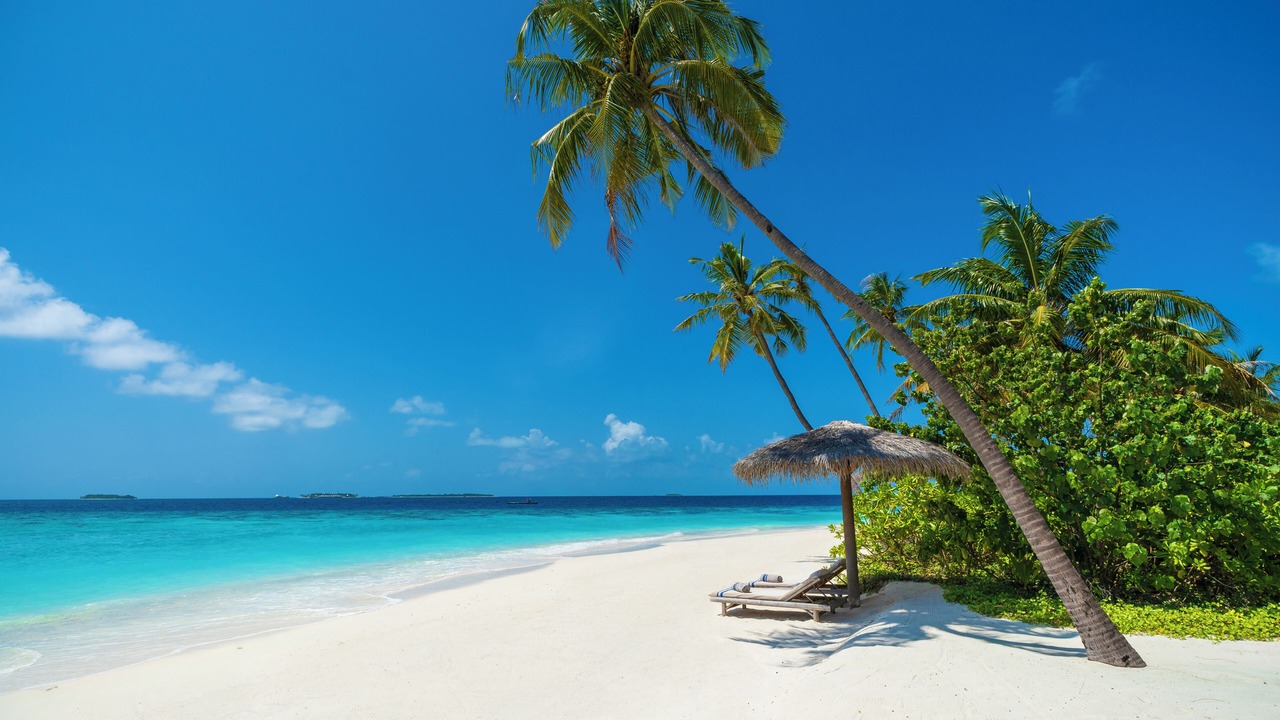 Photo of Others in Milaidhoo Island