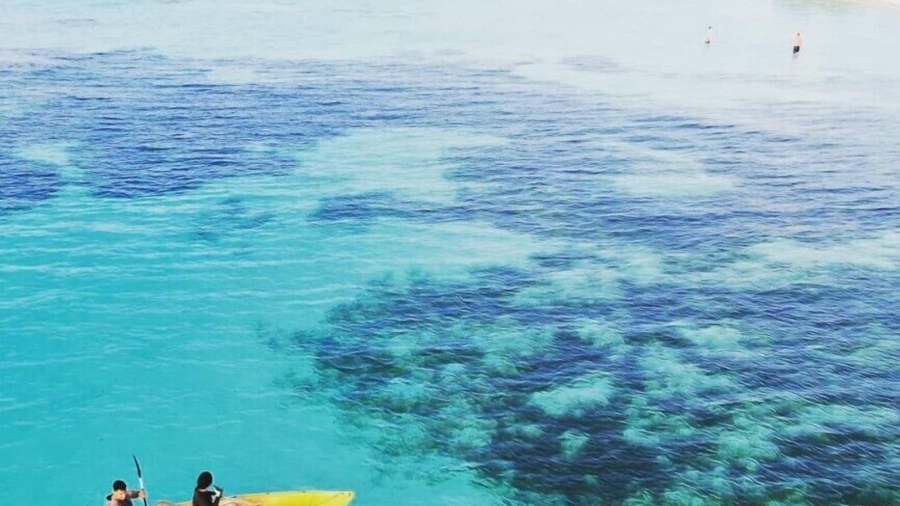 Photo of Others in Dhiffushi