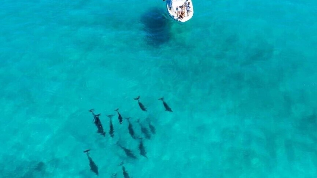 Photo of Others in Dhiffushi