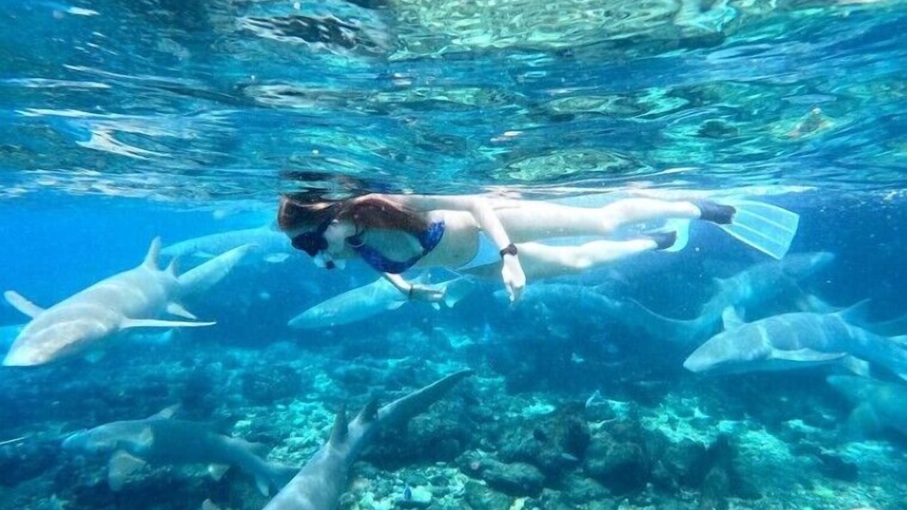 Photo of Others in Dhiffushi
