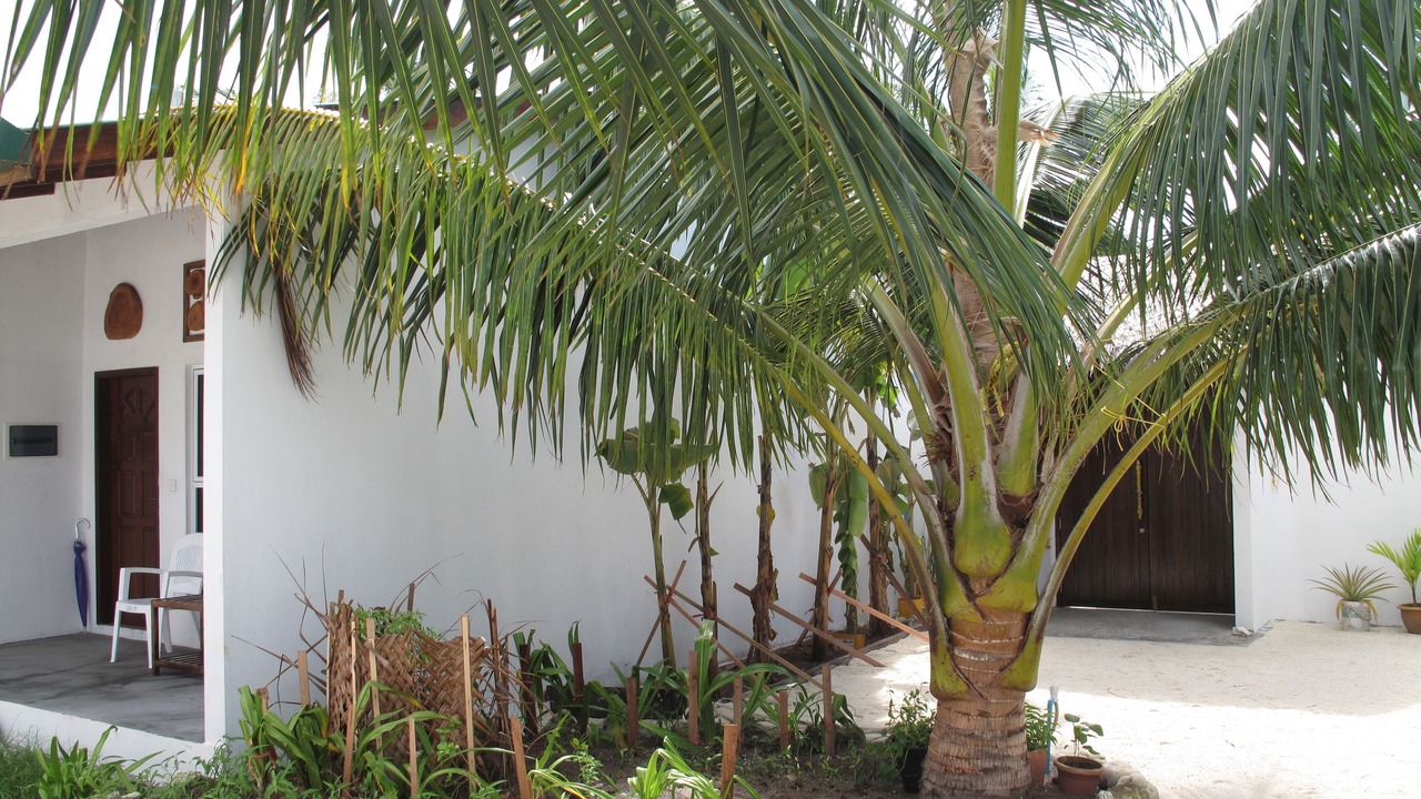 Photo of Outdoor in Bodufolhudhoo