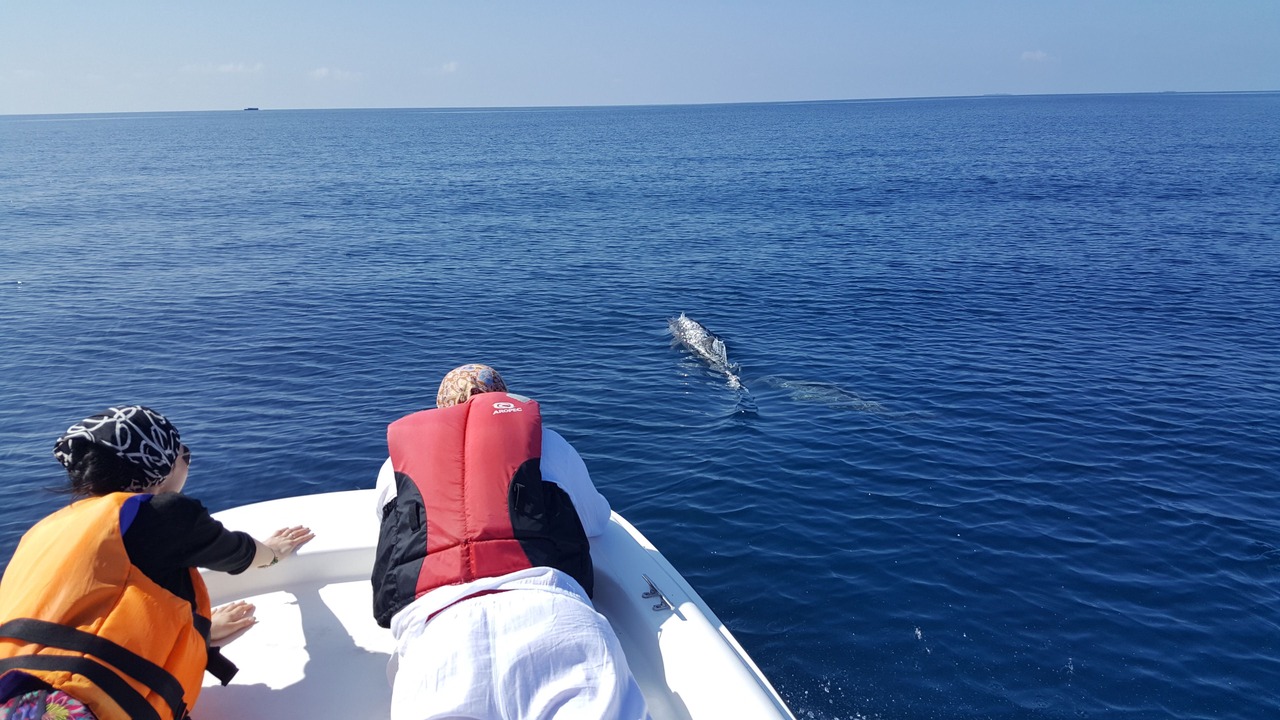 Photo of Others in Bodufolhudhoo