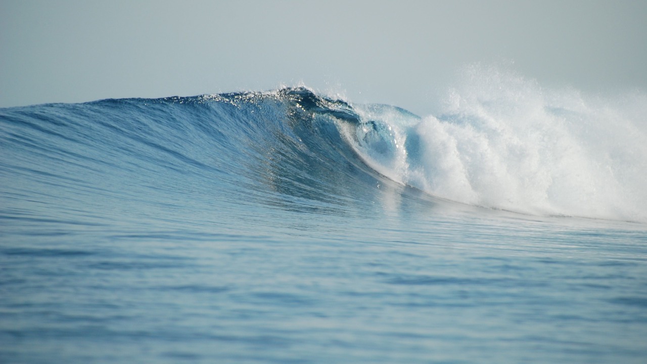 Photo of Others in Thulusdhoo Island