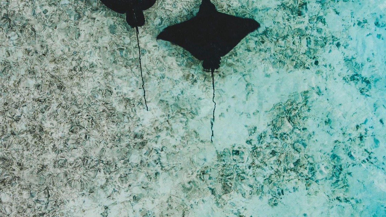 Photo of Outdoor in Maafushi