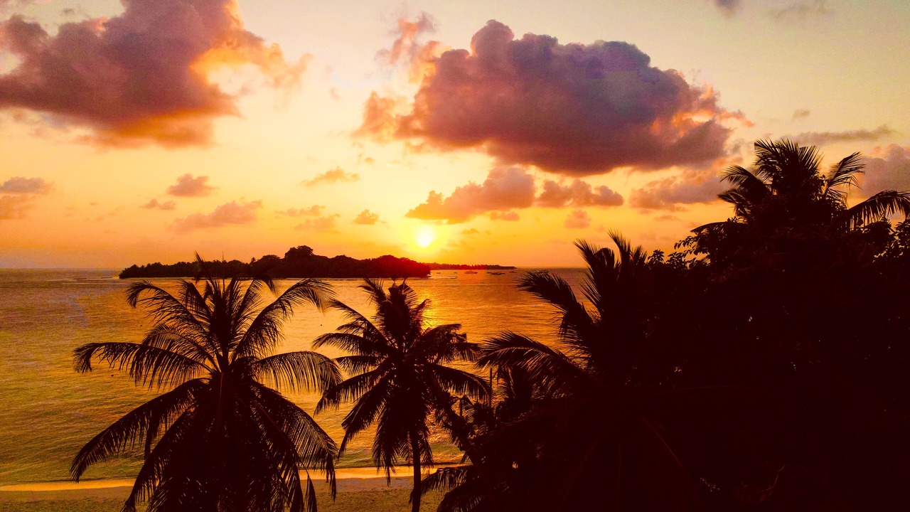 Photo of Others in Rasdhoo