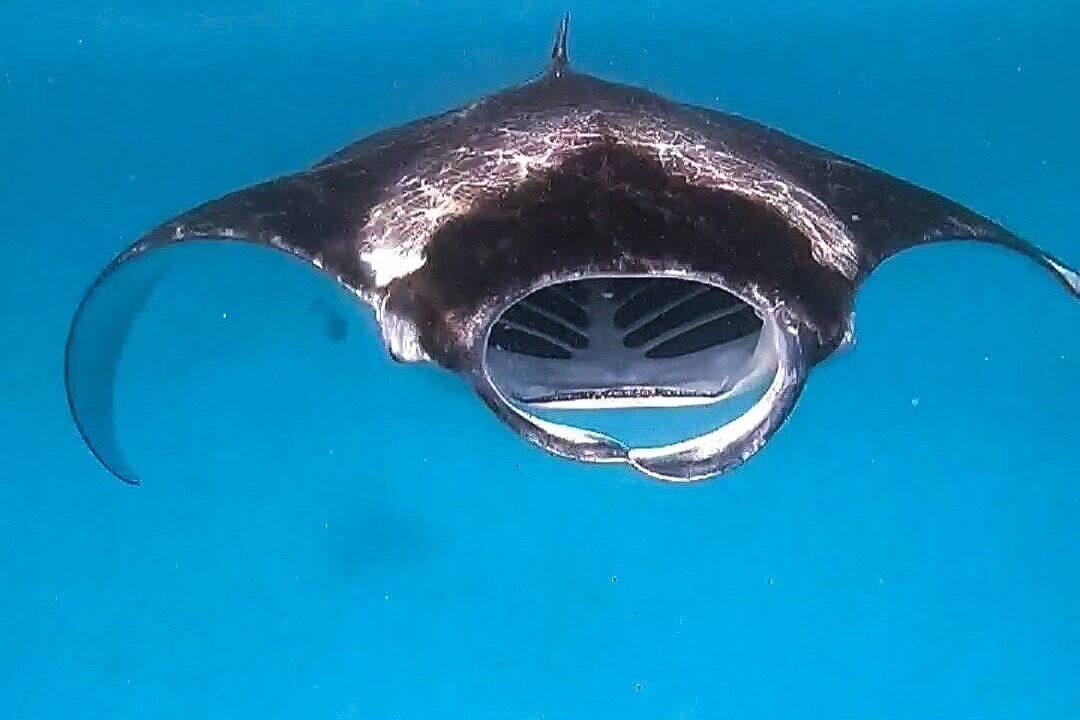 Photo of Outdoor in Dharavandhoo