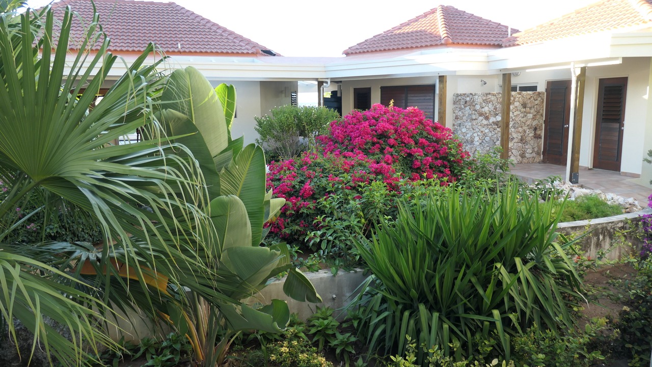 Photo of Outdoor in Spanish Town