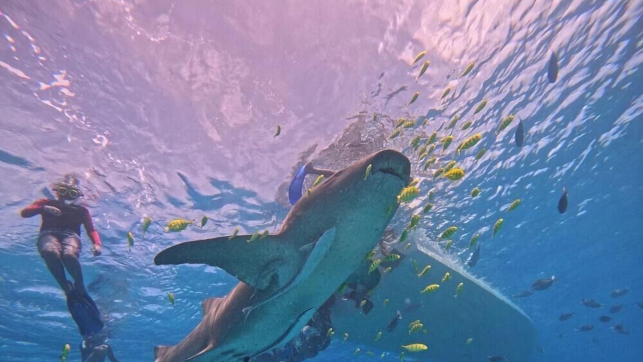 Photo of Others in Kudahuvadhoo