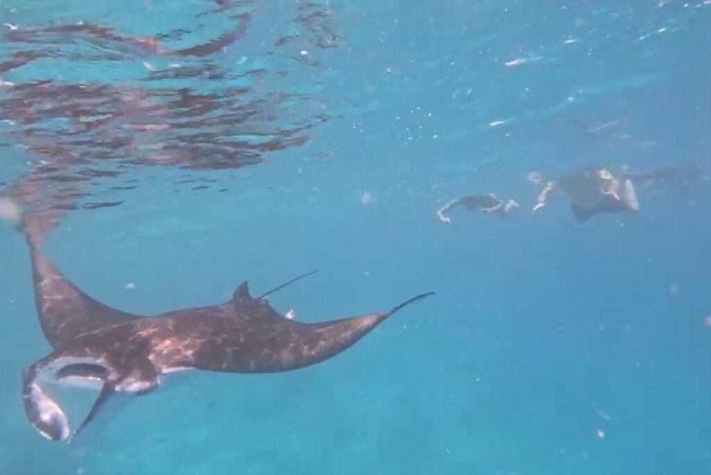 Photo of Others in Maafushi