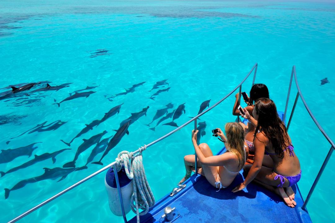 Photo of Others in Maafushi