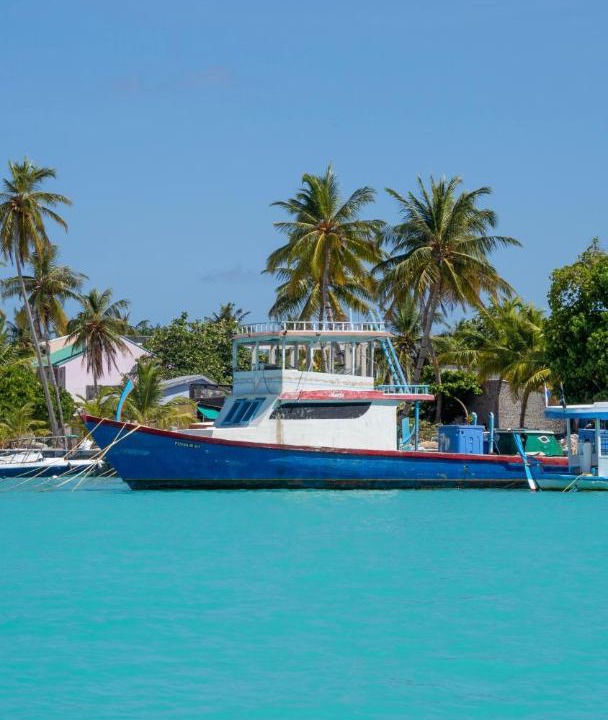 Photo of Others in Omadhoo