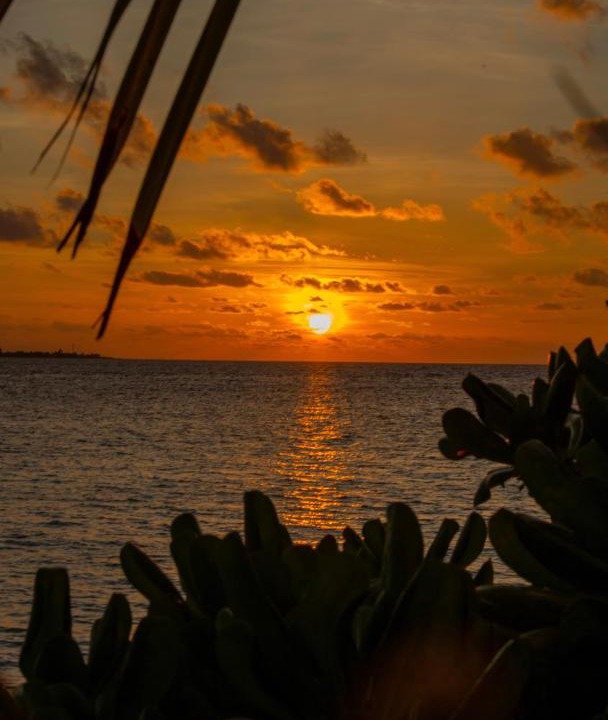 Photo of Others in Omadhoo