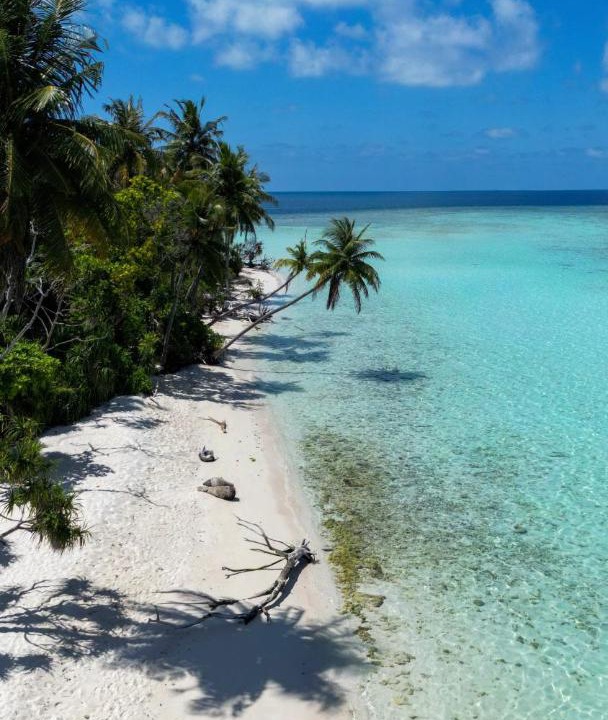 Photo of Others in Omadhoo