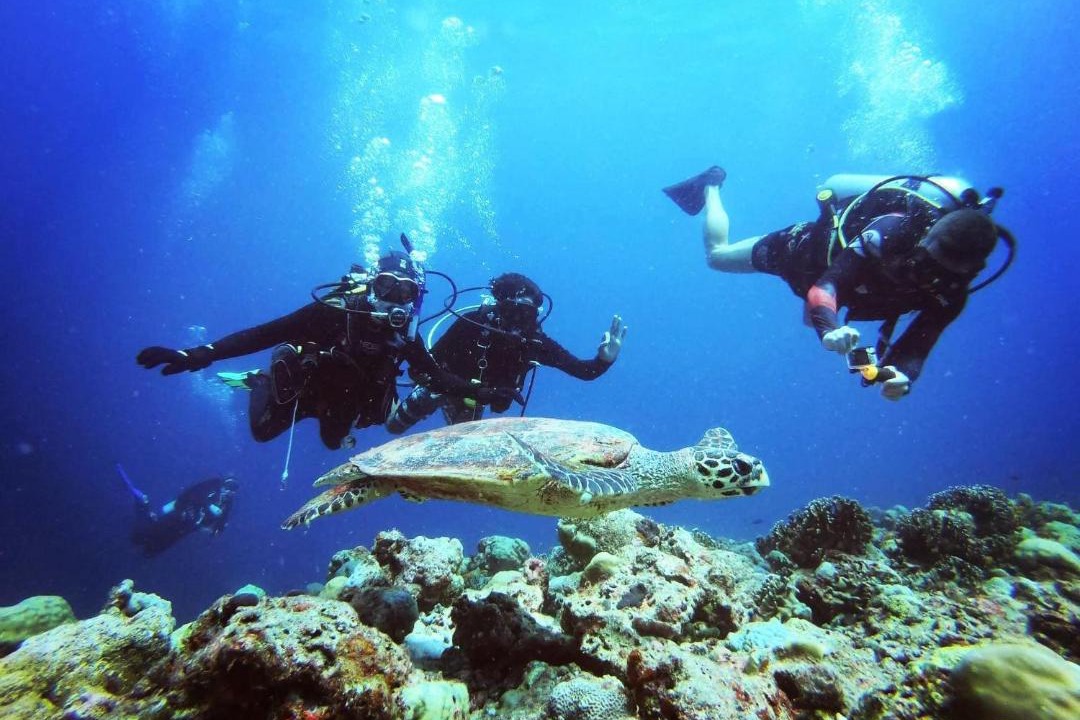 Photo of Others in Kamadhoo