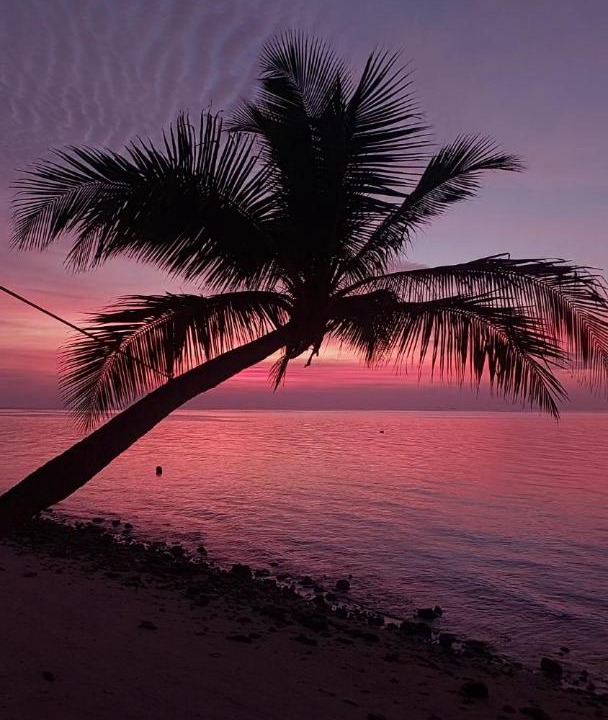 Photo of Others in Dhiffushi