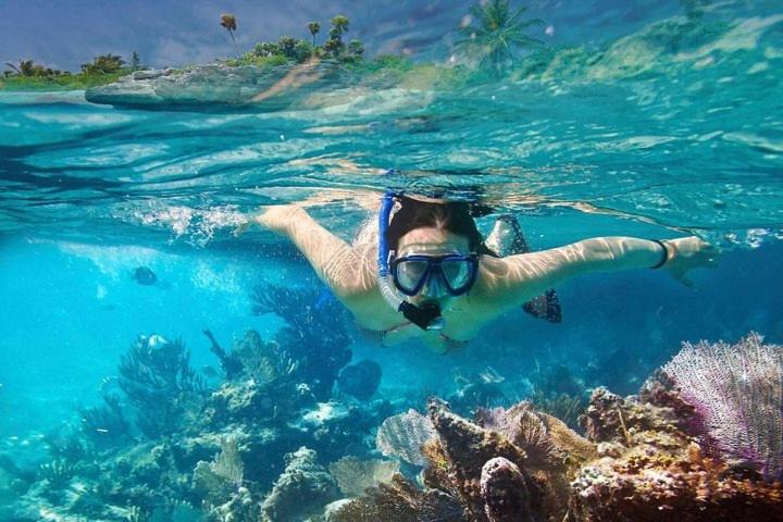 Photo of Human In Picture in Dhigurah