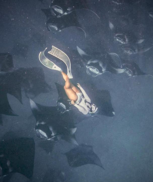 Photo of Others in Dharavandhoo