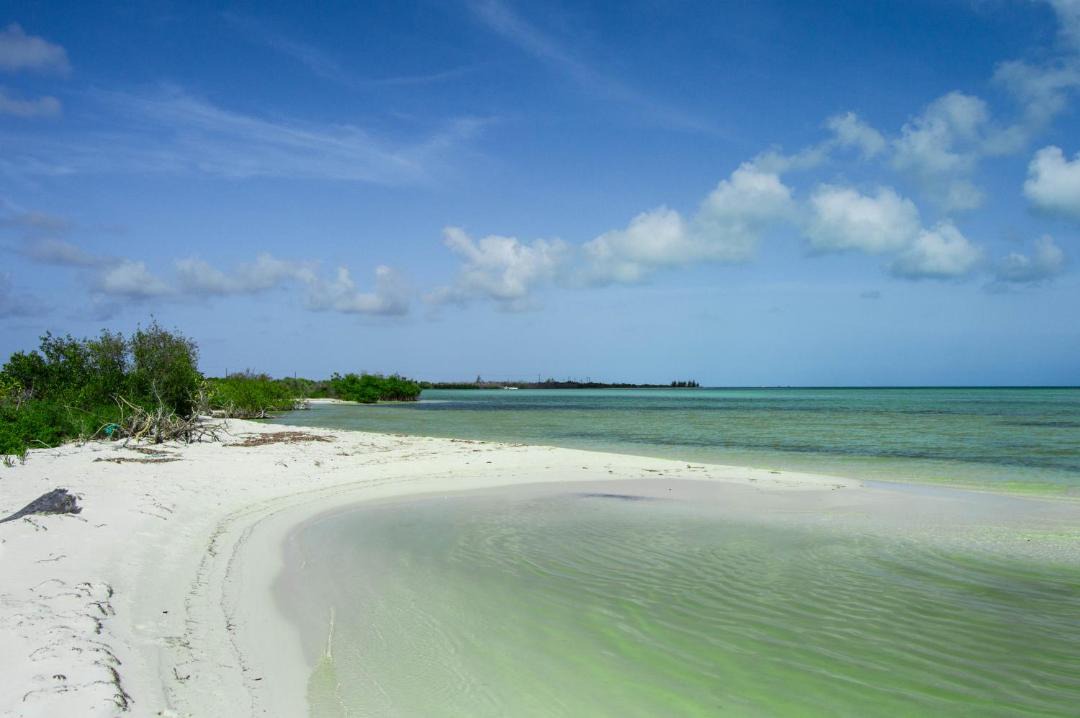 Photo of Others in Anegada