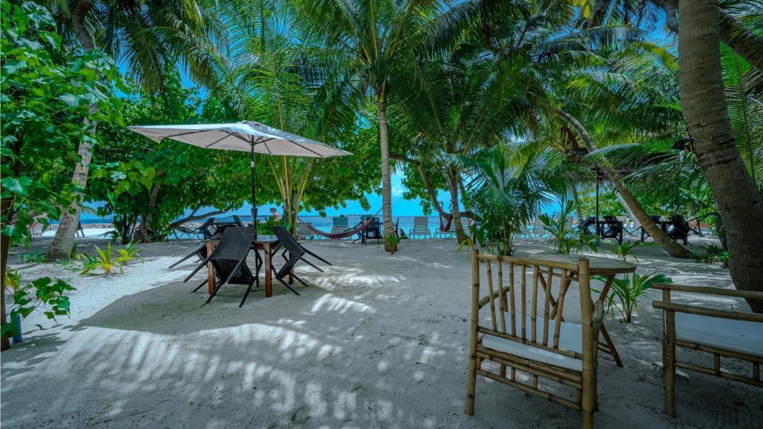Photo of Others in Dharavandhoo