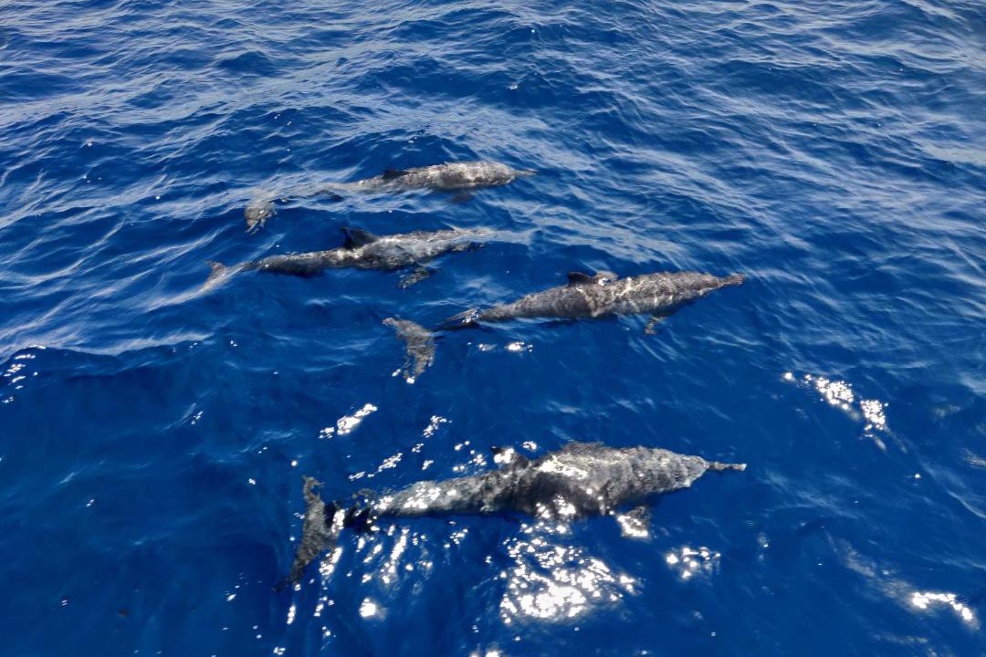 Photo of Others in Ukulhas