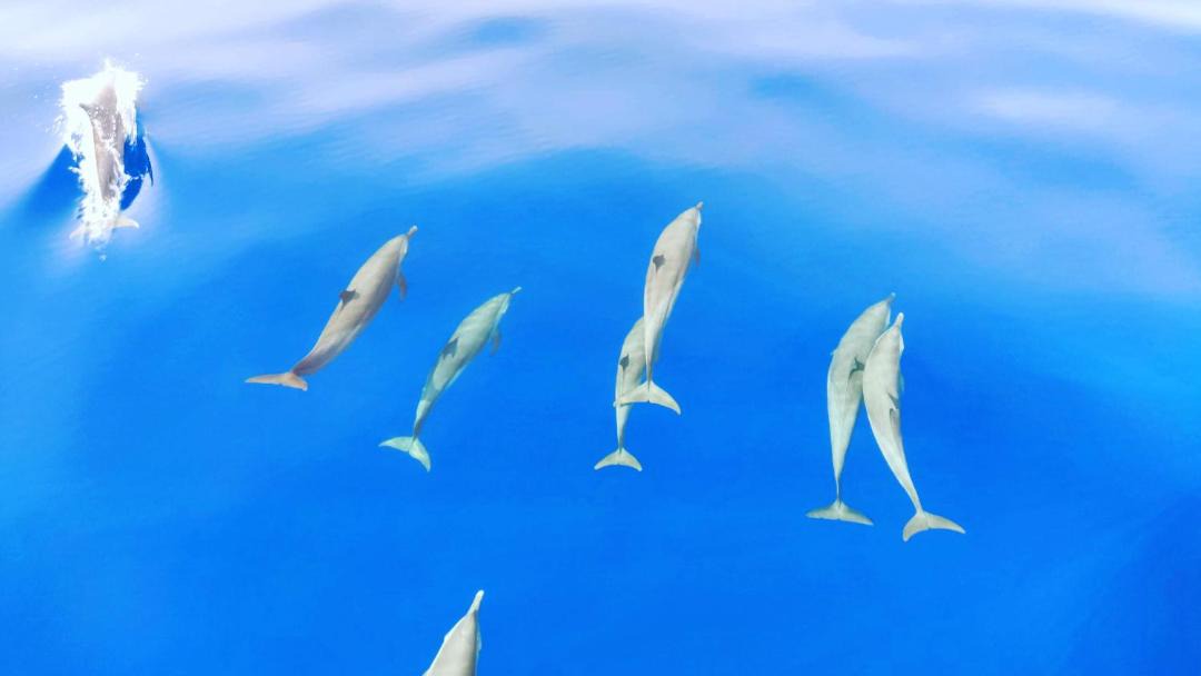 Photo of Others in Ukulhas