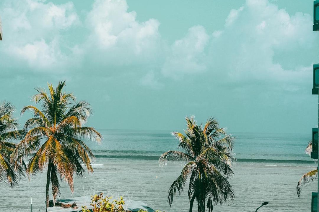 Photo of Others in Hulhumale