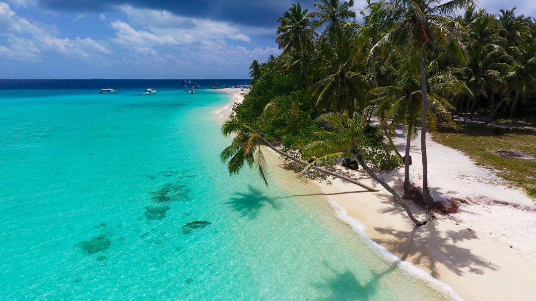 Photo of Others in Fulidhoo