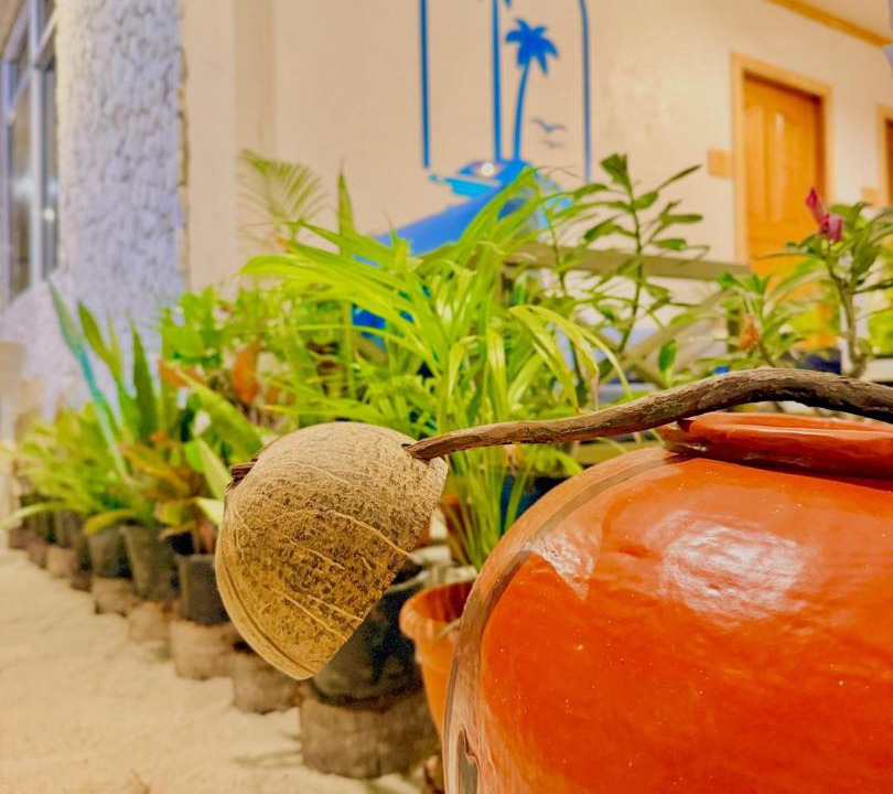 Photo of Others in Dhigurah