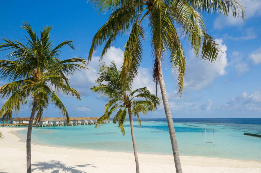 Photo of Others in Maafushivaru