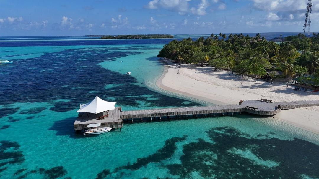 Photo of Others in Dhangethi