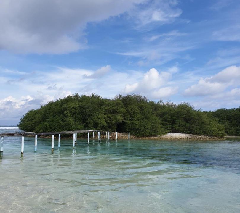 Photo of Others in Thulusdhoo Island