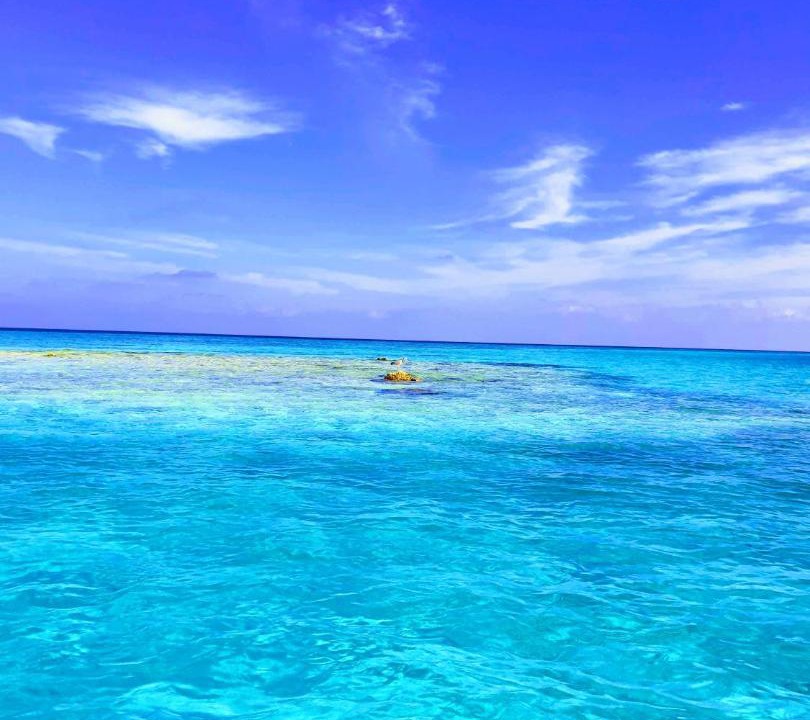 Photo of Others in Thulusdhoo Island