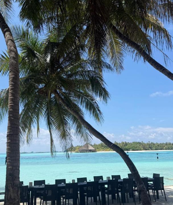 Photo of Others in Dhiffushi