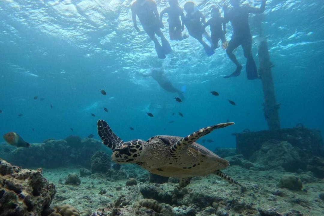 Photo of Others in Kudahuvadhoo