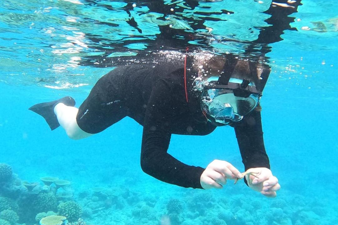 Photo of Human In Picture in Kudahuvadhoo