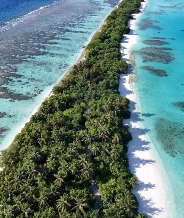 Photo of Others in Dhigurah