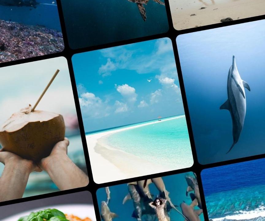 Photo of Others in Thulusdhoo Island