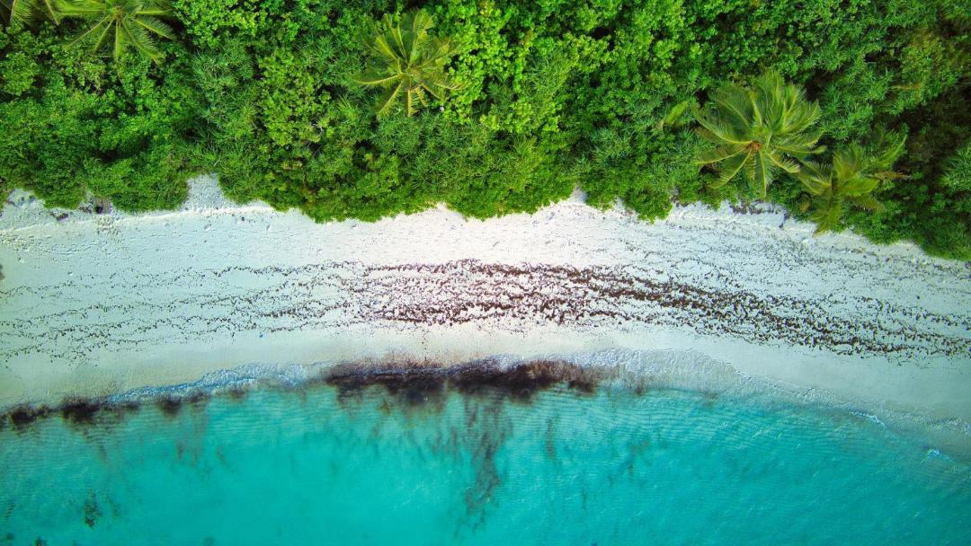 Photo of Others in Dhiffushi