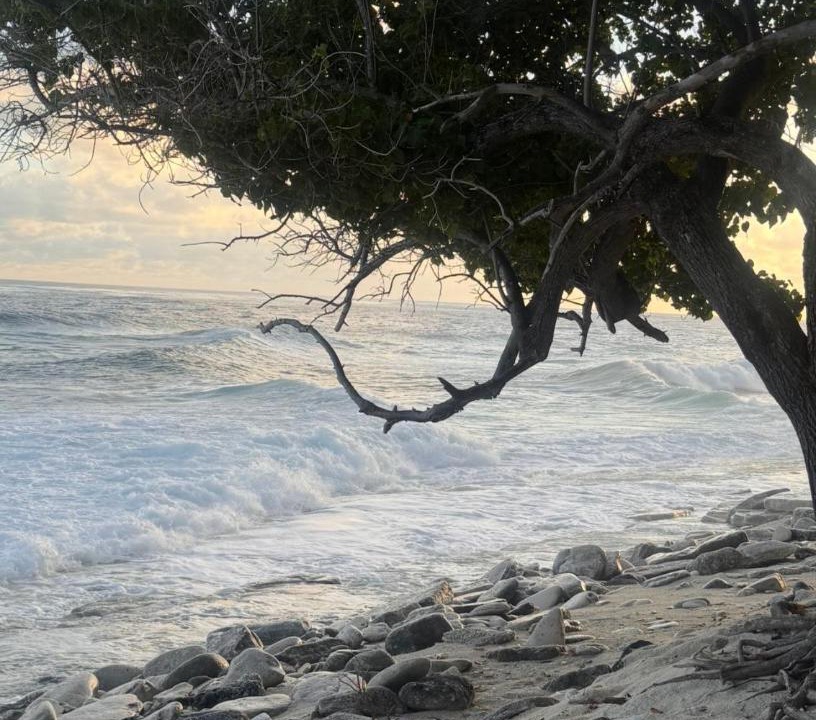 Photo of Others in Fuvahmulah