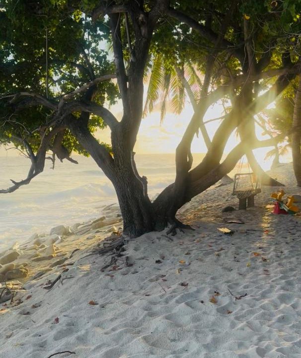 Photo of Others in Fuvahmulah