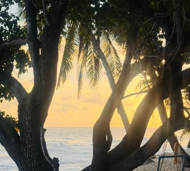 Photo of Others in Fuvahmulah