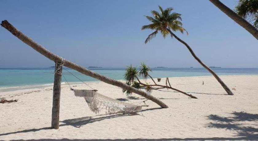 Photo of Others in Dhangethi