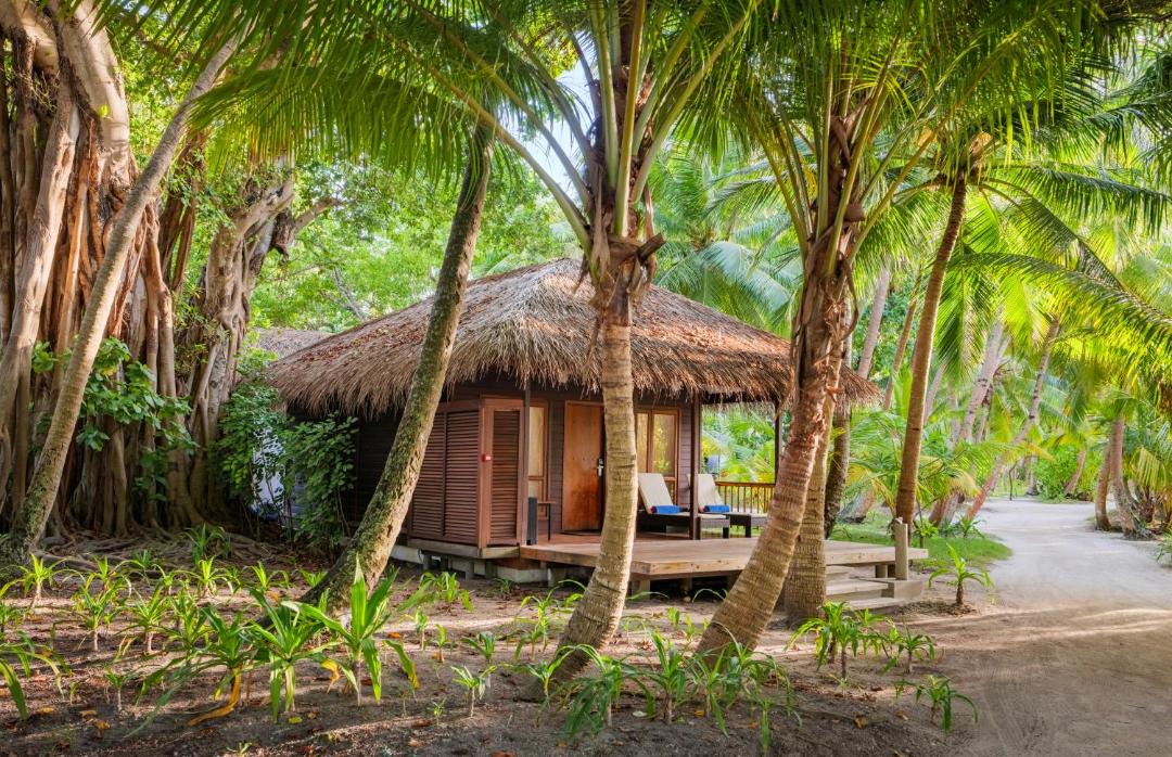 Photo of Others in Kuramathi Island