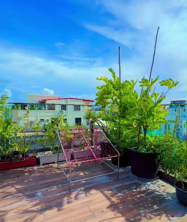 Photo of Others in Hulhumale