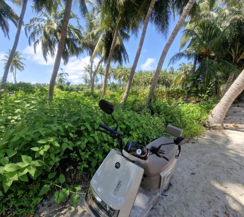 Photo of Others in Thoddoo