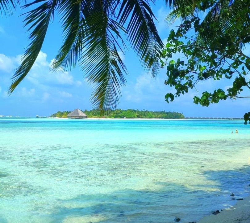 Photo of Others in Dhiffushi