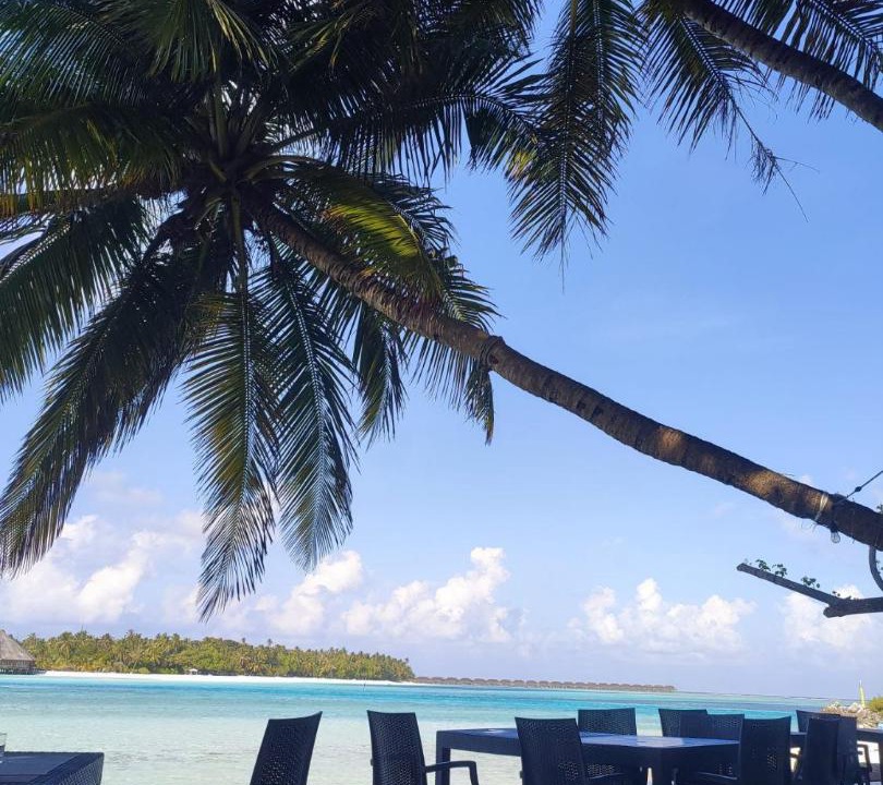 Photo of Others in Dhiffushi