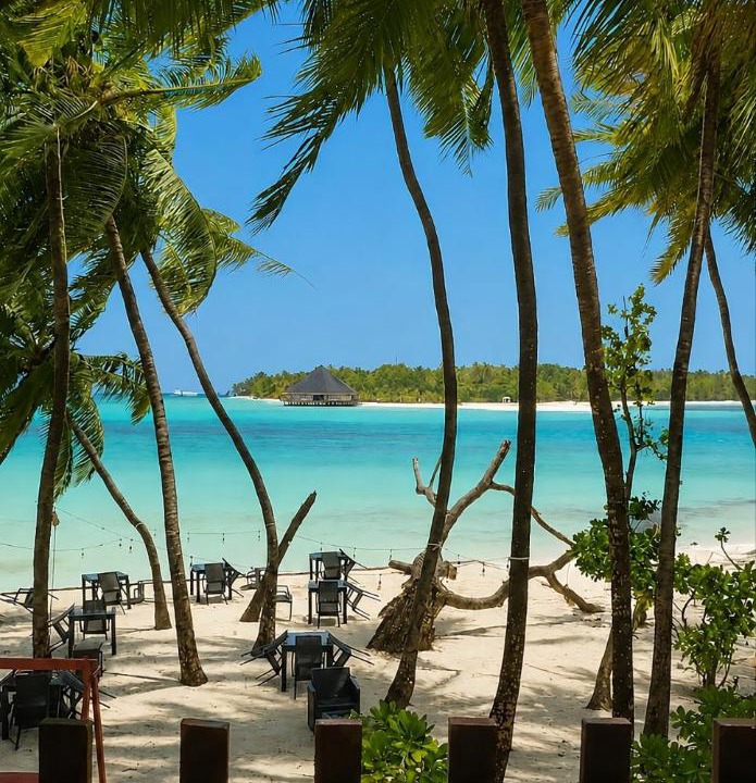 Photo of Others in Dhiffushi